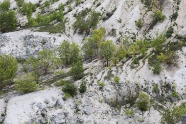 Kireçtaşı ocağı. Büyük bir kireçtaşı ocağı, ön planda ezilmiş taş, maden alanı, kalsiyum karbonat ocağı. Calcareous, Tebeşir Tepeleri. Moldova 'nın Fetesti kentindeki kireçtaşı ocağının tepesindeki Yalnız Ağaç.