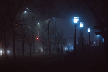 Gece hayatı yağmurlu bir yolda fenerler, anıtlar ve ağaçlarla dolu bir şehir parkında. Sisli bir manzaranın karanlık romantizmi. Moldova 'nın Chisinau parkında, Geceyarısı sisli caddede. Sonbahar Parkı, Yürüyüş Gecesi