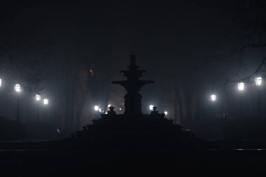 Gece hayatı yağmurlu bir yolda fenerler, anıtlar ve ağaçlarla dolu bir şehir parkında. Sisli bir manzaranın karanlık romantizmi. Moldova 'nın Chisinau parkında, Geceyarısı sisli caddede. Sonbahar Parkı, Yürüyüş Gecesi