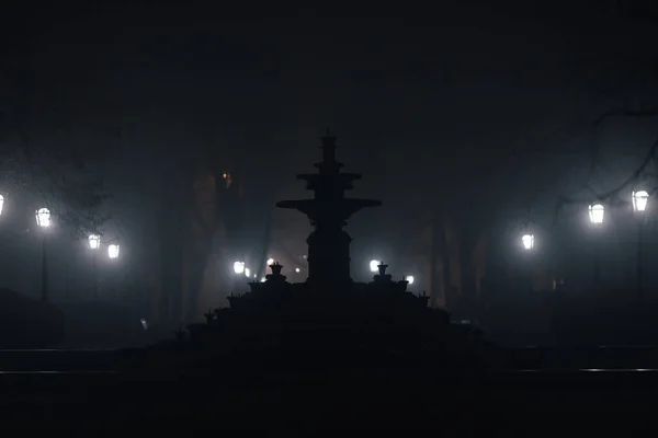 Gece hayatı yağmurlu bir yolda fenerler, anıtlar ve ağaçlarla dolu bir şehir parkında. Sisli bir manzaranın karanlık romantizmi. Moldova 'nın Chisinau parkında, Geceyarısı sisli caddede. Sonbahar Parkı, Yürüyüş Gecesi