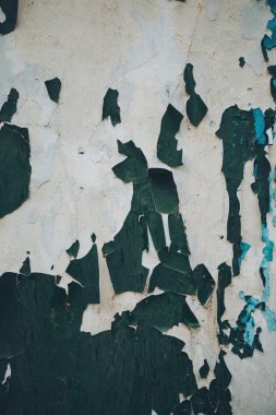 Eski mavi çatlak boya. Çatlaklı boyanın dokusu. Güneşte kurumuş ve kır evinin duvarında çatlak bir renk var. Kabuk soyma. Çatlakların dokusu. Grunge doku arkaplanı.