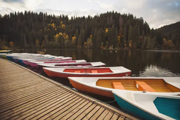 Görkemli dağ gölündeki tekneler Lacul Rosu veya Kızıl Göl veya Killer Lake. Romanya, Avrupa 'daki Lacul Rosu Gölü' nün muhteşem sonbahar sahnesi. Birçok renkli tekne kıyıya demir attı. Turistik bir yer.