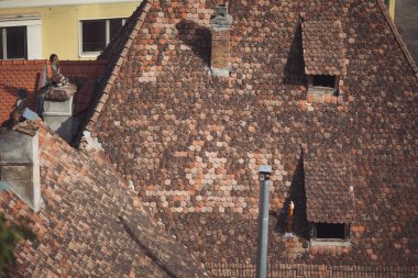 Eski Sighisoara Kasabası 'ndaki geleneksel Romen kiremit çatı manzarası. Eski şehir çatıları ve cimney 'ler. Tepeden kasabanın manzarası. 