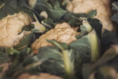 Dükkandaki tezgahın üzerinde taze karnabahar. Karnabahar temizlenir, yıkanır, kurutulur ve dondurulur. Sebze işleme ve depolama sanayi hattı.