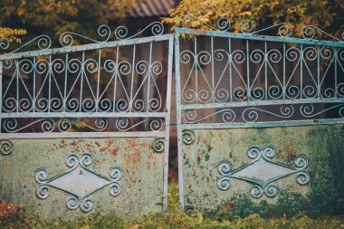 Bahçedeki paslı, yeşil metal kapı. Bahçeye açılan kapısı olan eski metal bir kapı. Yapısı ve süsü, demir kapılar gibidir..