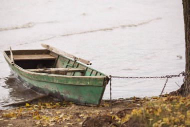 Çatlak ağacın yanındaki eski ahşap tekne. Eski tekneler nehirde hareketsiz durur. Birçok boş ahşap eski tekne sonbahar vahşi manzarasında nehir kıyısında duruyor. Balıkçı tekneleri, kırsal sabah.