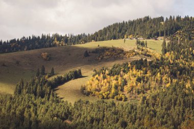 Dağlar orman manzarası. Ilıman geniş yaprak ve kozalaklı ve yapraklı ağaçlarla karışık orman. Ormanlık tepeler ve vadiler. Güzel bir sonbahar gününde doğaya bir gezi..