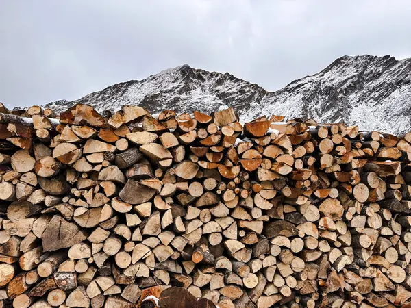 a pile of wood with snowy mountain. big woodpile with large logs cut by loggers in the mountains.