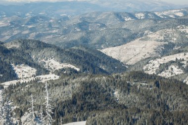 Kış dağlarının dokusu. Karla kaplı ağaçlarla kaplı kış manzarası. Dağlarda karlı bir manzara. Kış manzaralı dağ zirveleri ve karla kaplı orman. Çam ağaçlı karlı orman. 