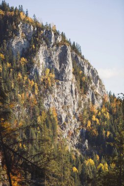 Bicaz vadisi. Güzel sonbaharda kaya oluşumu, Romen Karpatlar 'da kaya duvarı. Hayat boyu yolculuk.