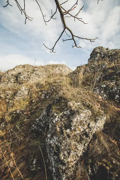 Doku, vahşi doğada kaya oluşumunu çatlattı. Rocky cliff. Soyut taş dokusu. Yüksek dağın dik yamacı. Doğa arka planı, jeolojik yapı. Vahşi doğadaki mermer kayalar. Taş Deseni