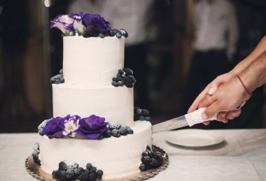 Gelin ve damat düğün pastasını kesiyorlar. Masanın üzerinde çiçek ve mercimek olan beyaz düğün pastası. Böğürtlenli düğün pastası. Lüks süslemeli düğün pastası. 