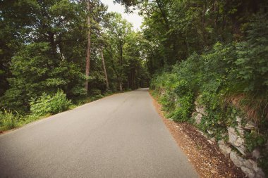 Birleşmiş manzara. Yol kenarındaki çitler gece vakti çayırları ve ormanı geçerek yüksek dağlara çıkıyor. boş yol.