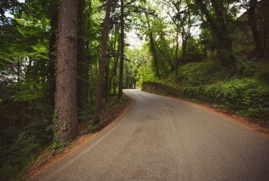 Birleşmiş manzara. Yol kenarındaki çitler gece vakti çayırları ve ormanı geçerek yüksek dağlara çıkıyor. boş yol.