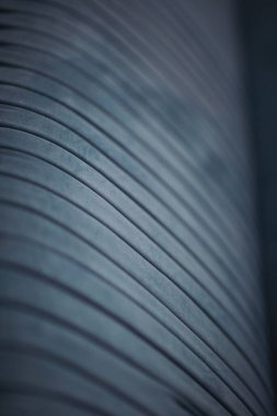 Mavi kumaş lüksü. Altın düğmelerle süslenmiş mavi kadife bir kanepe. Mavi deniz mavisi kadife kapiton tekstil arka plan, eski moda kareli yumuşak turkuaz kumaş mobilya.