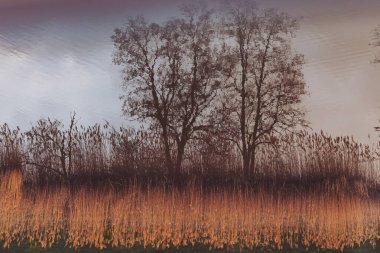 Gün batımında sudaki ağaçların yansıması. Suda gün batımı yansıması. Suyun üzerindeki ağaç gölgesi. 
