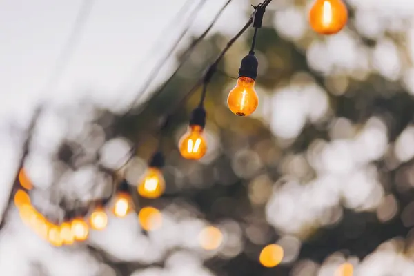 string lights hanging from trees in a garden, creating a festive atmosphere. a garland of light bulbs glowing with warm light stretched on the branches of trees at the evening celebration. party decor
