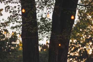 Bahçedeki ağaçlardan sarkan iplik ışıkları neşeli bir atmosfer yaratıyor. Akşam kutlamalarında ağaçların dallarına uzanan sıcak ışıklarla parlayan bir çelenk. parti dekoru