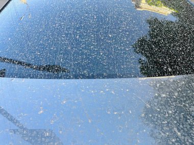 Sahra 'dan gelen bir toz fırtınasından sonra arabalar çamurla kaplandı. Pis kum makinesi. Uzun zamandır hiç kullanılmamış bir araba. Temizlik. Araba üstüne yağmur sahara kumuyla kirlenmiş..