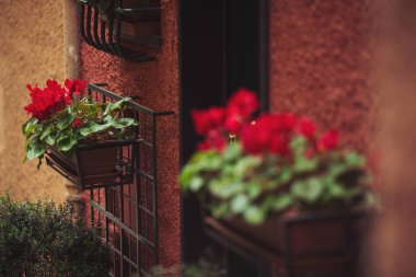 Sokaktaki dekoratif vazoların güzel manzarasını kapat. Dar eski sokaklarda çiçekler. Güzel küçük kasabalar ve köyler. Evin pencerelerinde süslü saksılar var..