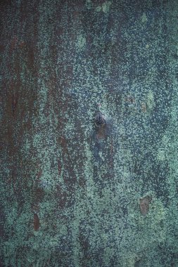 Ağaç kabuğunda yeşil liken. Ağaç kabuğu arka planında yosun örtüsü. Ağaç yüzeyinde yosun dokusu var. Kabuklu ağaç kabuğunun dokusu çatlamış ya da çatlamış bir dokusu var..