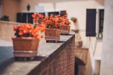 Balkondaki kafenin yanındaki kırmızı çiçekler. Restoranın dış tarafında. Sokaktaki dekoratif vazoların güzel manzarasını kapat.