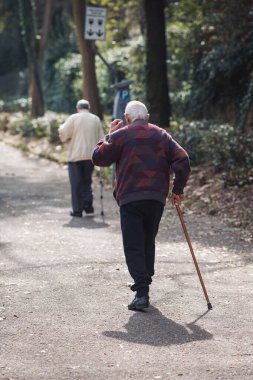 Yaşlı insanlar yürüyüş sopalarıyla yürüyorlar, bahar veya yaz parklarında bastonlar yürüyorlar. Arkadan bak. İki yaşlı sporcu emekliye ayrılacak. Aile yürüyüşçüleri İskandinav yürüyüşünün tadını çıkarırlar.