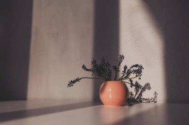 Gün batımında beyaz bir masada yuvarlak pembe bir vazoda mavi çiçeklerden oluşan bir buket. Işık ve gölgenin kontrastı. Beyaz masadaki küçük cam vazoda kır çiçekleri..