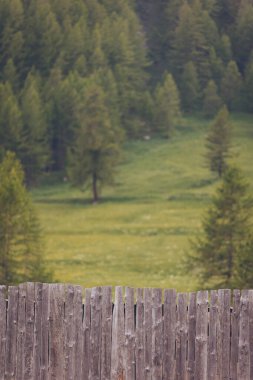 Yıpranmış çitler. Büyülü Alp Dağları manzaralı ahşap çitler. İtalya dağlarındaki yeşil çitleri çevreleyen kır tarafı ahşap.. 