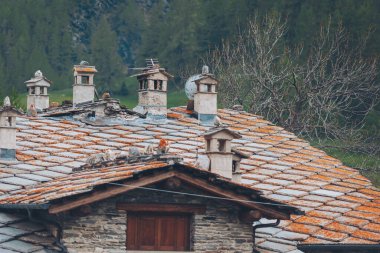 Alp taşı bacası. Bir dağ köyünde geleneksel baca yığınıyla Flagstone çatısı.