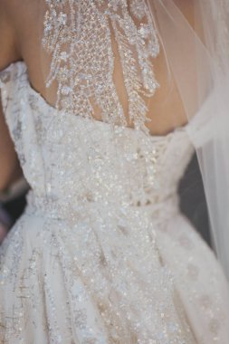 Çiçek desenli dantel rengi fildişi işlemeli. Dantelli gelinlik giymiş gelinin arka görüntüsü. Gelinlik giymiş, dantelli bir gelinlik.