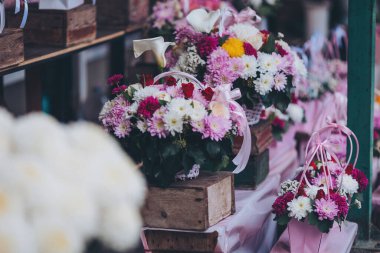 Çiçekçide pembe, beyaz, sarı ve renkli papatyalar. Mevsimlik çiçekler. Sevgililer Günü, Anneler Günü, Noel çiçekleri. Çiçekçilik. Vazolarda renkli kasımpatı buketleri var.