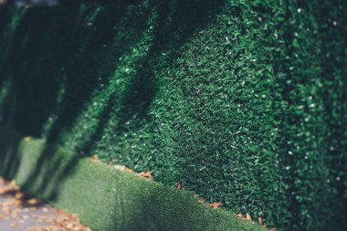 İnşaat alanının etrafında yeşil çit var. Çitin üzerinde dekoratif çimenler. Yapay ot. Yeşil Duvar