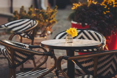 Çiçekli kafe masası. Gündüz vakti bir Fransız restoranında bir masaya yakın çekim yapmak. Avrupa 'da masa ve sandalyeli bir kahve terası manzarası