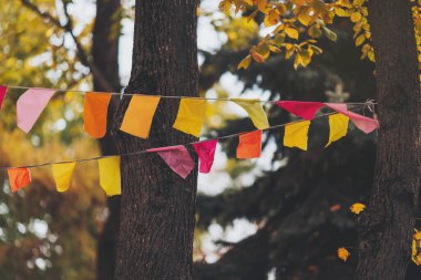 Parti bayrakları bir partide süslenmişti. Bir şehir tatili geçmişi. Yaz parkında renkli mini bayraklar. Doğum günü partisi için dekorasyon. Popüler festivallerin geleneksel dekorasyonu, etkinlikler