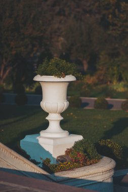 Parktaki saksı çok güzel. Bahçedeki ya da parktaki alçıtaşı saksısı Güzel alçıtaşı vazosu