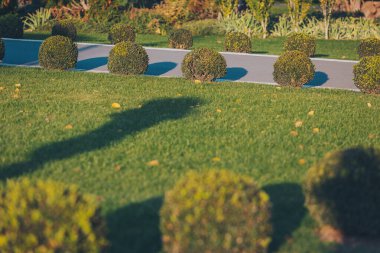 Sonbaharın başlarında akşam manzarası, eski Park, ağaçlar, yeşil çimenler, parlak yeşil yapraklar. Güzel düzenlenmiş kamusal alanı olan soyut bir arkaplan. Mükemmel peyzajlı şehir parkı.. 