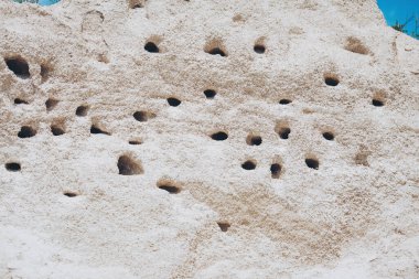 Empty nests, burrows of birds in the sand cliffs. Numerous holes of nests of swallows or swifts in the limestone slope.  clipart