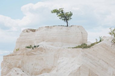 Büyük bir kireçtaşı ocağı, ön planda ezilmiş taş, maden alanı, kalsiyum karbonat ocağı. Calcareous, Tebeşir Tepeleri. Moldova 'nın Fetesti kentindeki kireçtaşı ocağının tepesindeki Yalnız Ağaç.