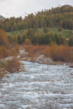 Ormanın arka planında taşlar ve uzak dağlarda dağlar olan bir nehir yatağı.. 