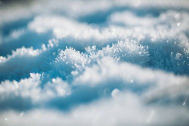 Küçük, çetrefilli kar taneleri zemini örterek güneş ışığının yumuşak ışınlarını yakalıyor. Benzersiz şekilleri ışıldıyor ve büyüleyici bir kış harikalar diyarı yaratıyor.