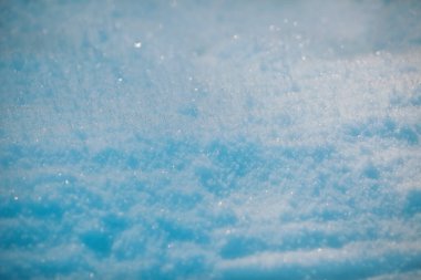 Yumuşak mavi kar zemini kaplıyor, parlak güneş ışığı altında parlıyor, sakin ve sakin bir kış ortamı yaratıyor. Doğanın güzelliği bu huzurlu anda parlıyor.