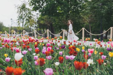 Bir dizi renk içinde canlı laleler bahçeyi doldururken, bir kadın yol boyunca sakin bir şekilde yürüyor, çiçeklerin ortasında bahar güneşinin sıcaklığının tadını çıkarıyor.