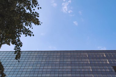 Açık mavi gökyüzünün altında yansıtıcı yüzeyleri olan modern cam bir bina ayakta duruyor. Bereketli yeşil ağaçlar sahneyi çevreleyerek güneşli bir günde doğa ve mimari arasındaki zıtlığı vurguluyor.