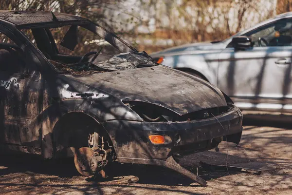 Terk edilmiş bir araç sessiz bir şehir parkında zamanın ve doğanın sıcak öğleden sonra güneşinin altında yerini geri aldığını gösteriyor.