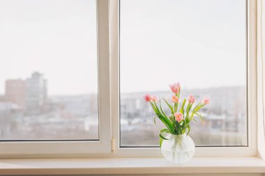 Güneşli bir pencerenin yanında zarif bir şekilde açan güzel pembe laleler, evin içinde huzurlu bir ortam ve doğanın cazibesini sergiliyor.