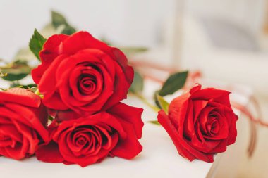 Işıl ışıl kırmızı güllerden oluşan bir buket aşk ve sıcaklık yayıyor. Yumuşak gün ışığında kapalı bir ortamda yakalandılar.