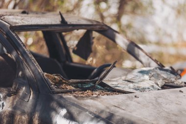 Terk edilmiş araç, ağaçlar ve doğanın cazibesiyle çevrili sessiz bir parkta, bahar güneşinin erken saatlerinde dinleniyor. Mahvolmuş araç sokakta. Trafik kazası kavramı..