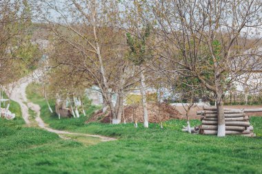 Doğanın sükuneti, ilkbaharın başlarında sakin bir kırsal alanda tomurcuklanan ağaçlarla dolu dolambaçlı bir yol boyunca açılır.