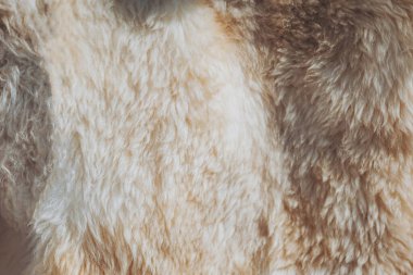 Açık renkli kürkün yumuşak dokusu doğal hayvan kürklerinde bulunan karmaşık desenleri sergiliyor.